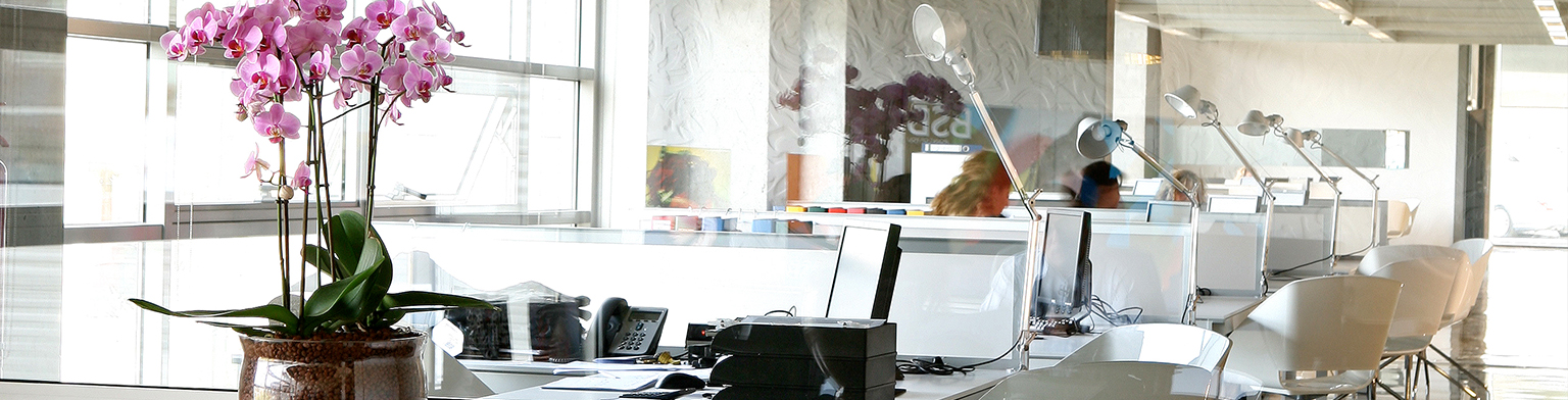 Βοηθός Λογιστή - B&F cover