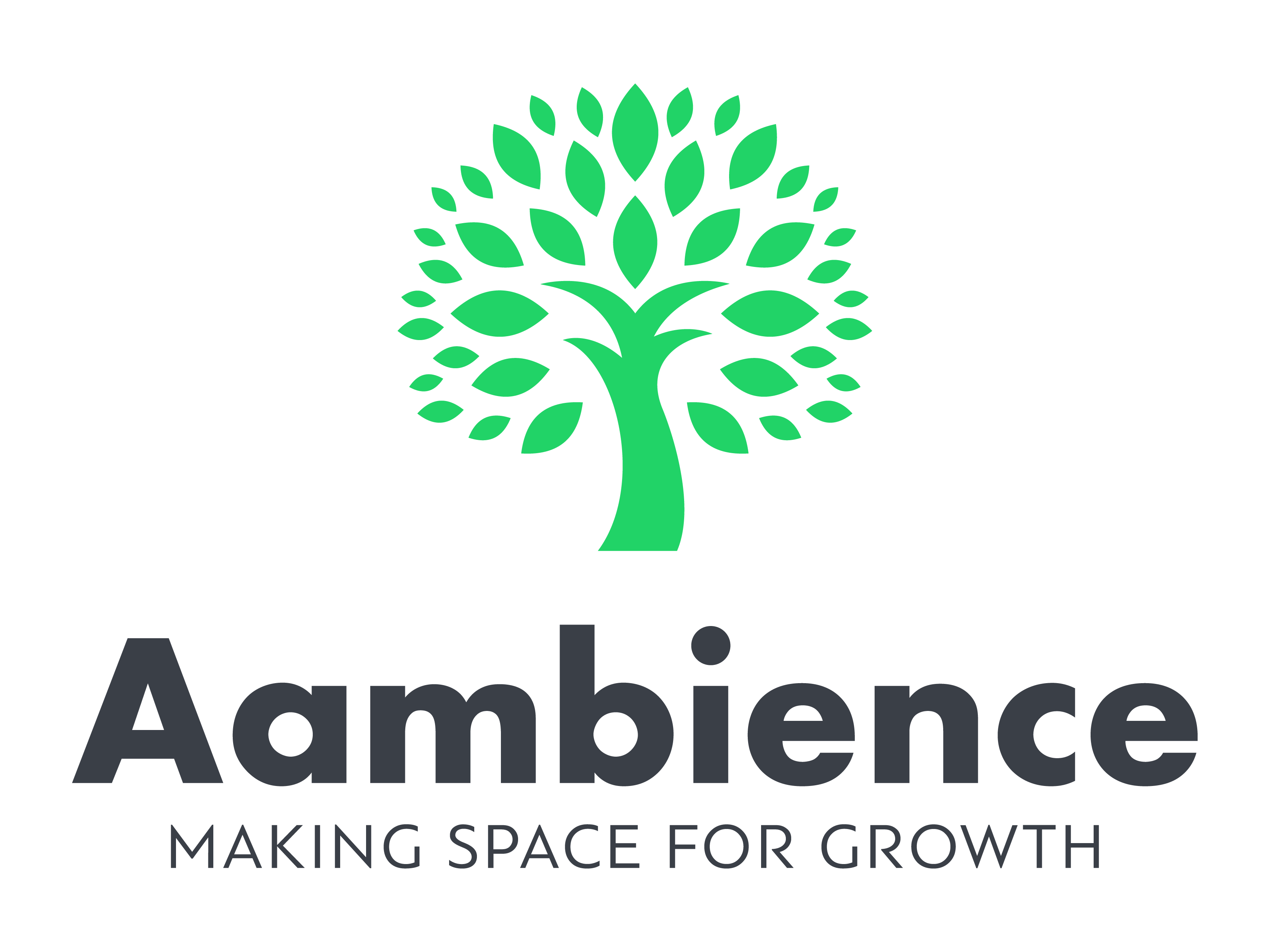 Aambience Services