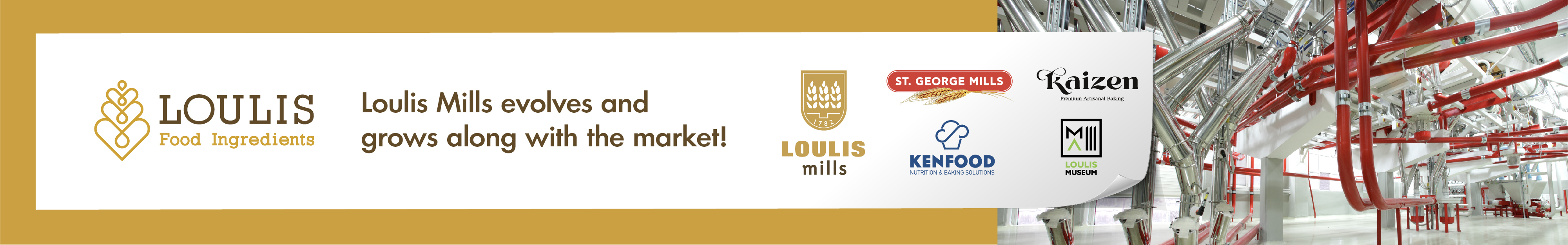 Loulis Food Ingredients cover